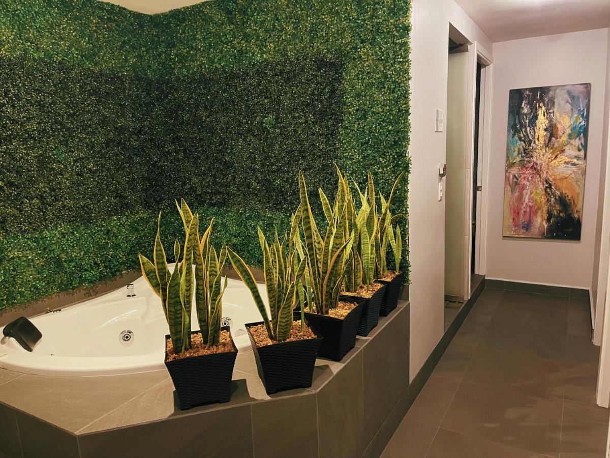 Suites Layfer, Cordoba, Veracruz, Mexico Экстерьер фото